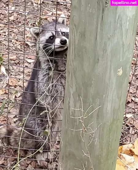 Sonjahaze OnlyFans Thumbnail #M83TOB8y2f