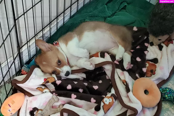 Sonjahaze OnlyFans Thumbnail #f6IWwEATSs