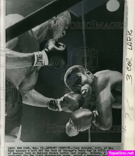 Sonnyray Main Profile Photo