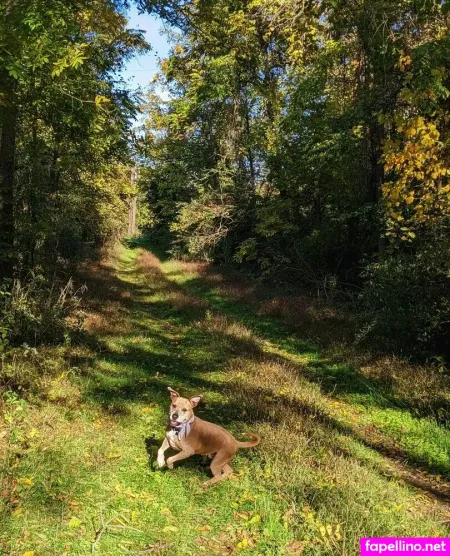 Sooshidawg OnlyFans Thumbnail #ApPVk2CqyT