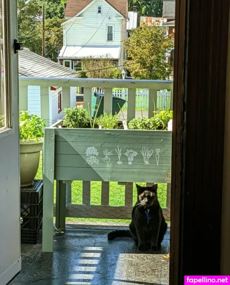 Sooshidawg OnlyFans Thumbnail #DDtS3Sk8TX