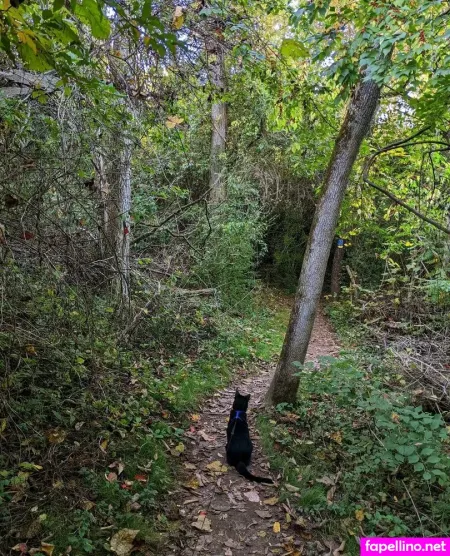 Sooshidawg OnlyFans Thumbnail #XBw56dHjuj