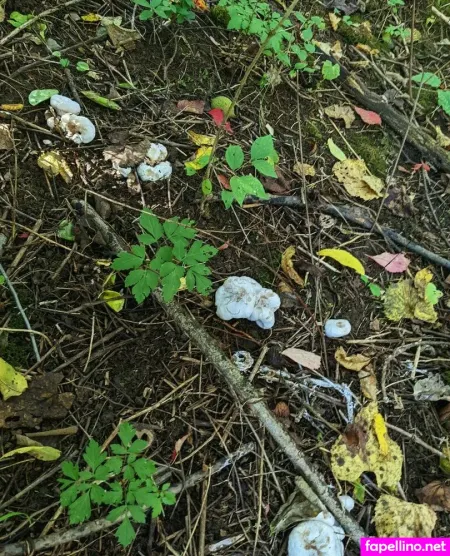 Sooshidawg OnlyFans Thumbnail #ZFCRbVvIIW