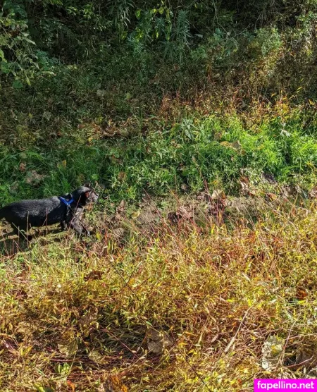 Sooshidawg OnlyFans Thumbnail #afV8lV3ZIS