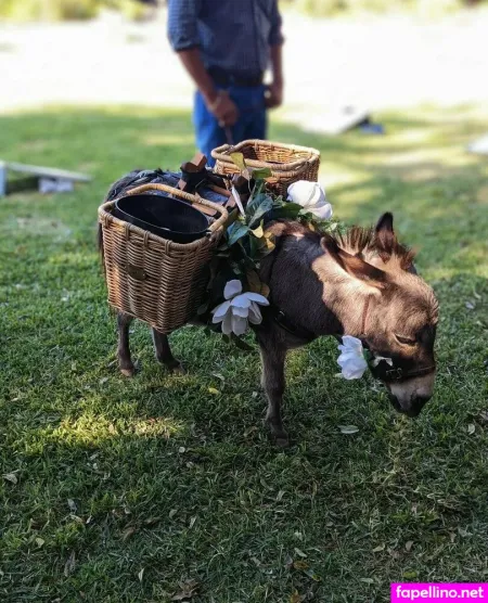 Sooshidawg OnlyFans Thumbnail #s6200Skxj8