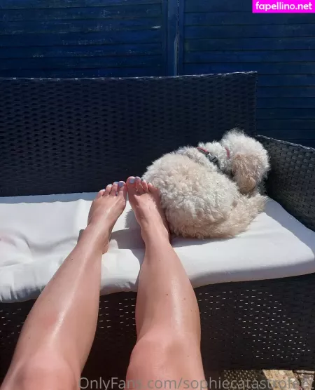 Sophiecatastrofeet OnlyFans Thumbnail #SEJ1zuvcoB