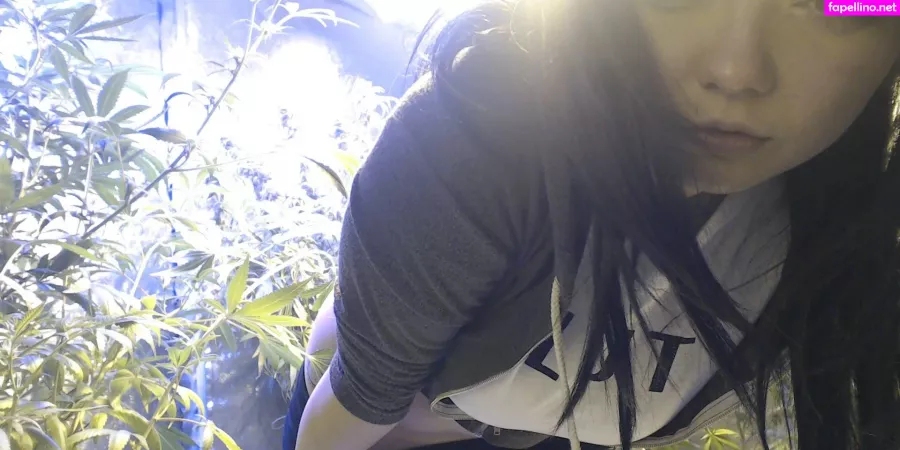 Soyacide OnlyFans Thumbnail #SRRMHFCaUd