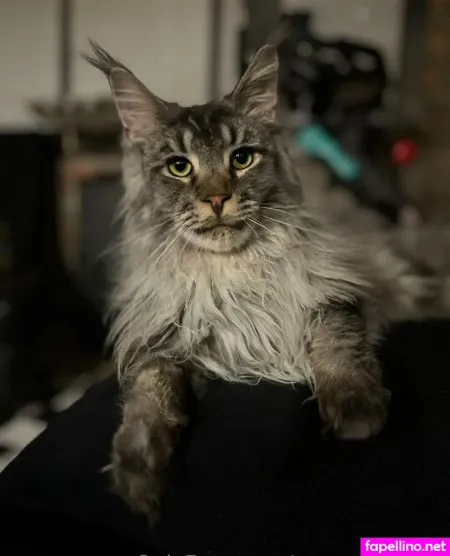 Sperry69 OnlyFans Thumbnail #BOlwVOWdzv