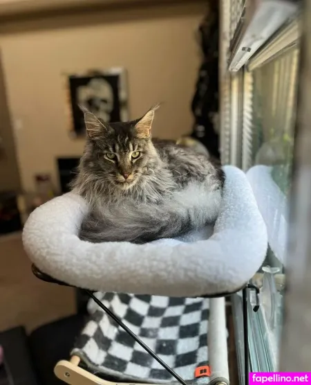 Sperry69 OnlyFans Thumbnail #GLg1pJmkgi