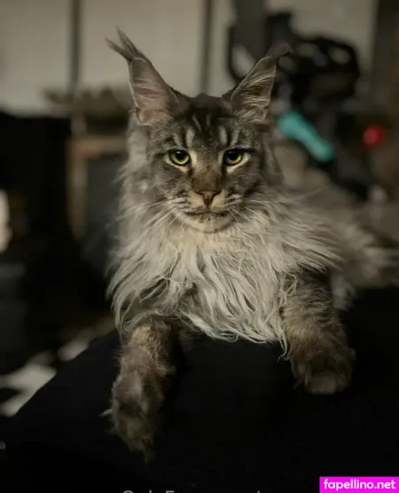 Sperry69 OnlyFans Thumbnail #mwx195CsFt