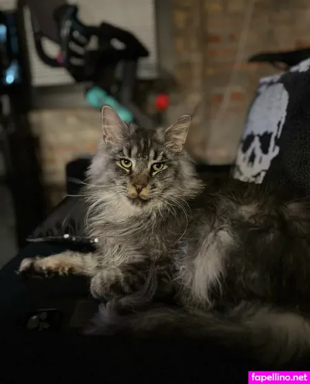 Sperry69 OnlyFans Thumbnail #tQBfnR6gJV