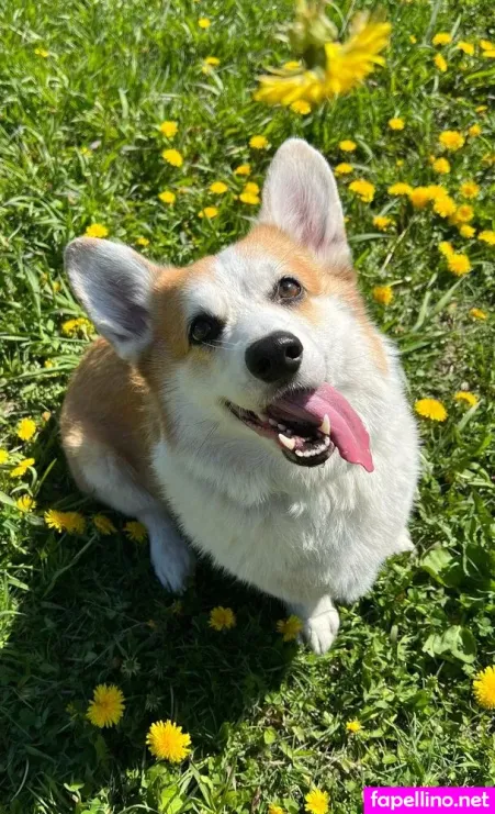 Sport Inna OnlyFans Thumbnail #xThx96oGY7