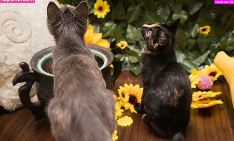 Sqregina OnlyFans Thumbnail #2luG01WlF3