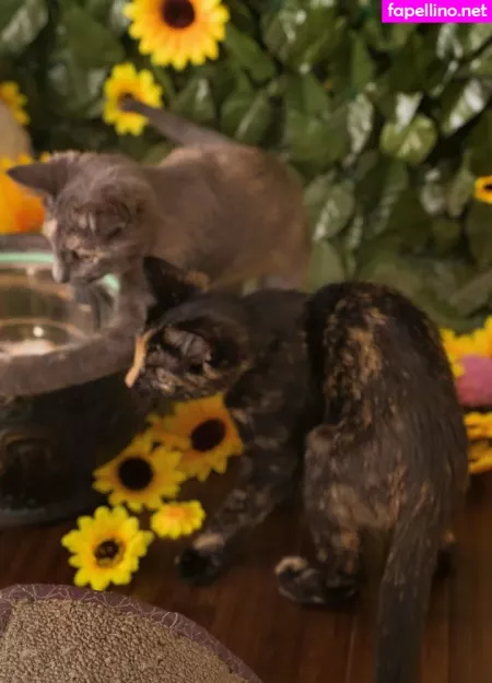 Sqregina OnlyFans Thumbnail #n5WpEPIJLJ