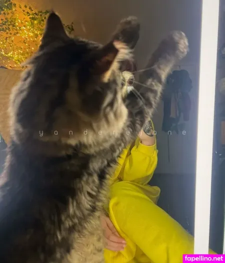 Squishyyandere 1 OnlyFans Thumbnail #JkInzOnc8L