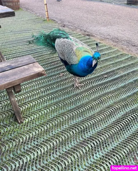 Stacesumsfree OnlyFans Thumbnail #Y4Ftt2fiVt