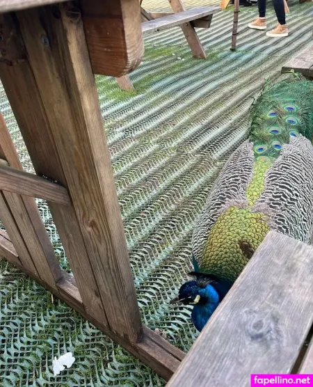 Stacesumsfree OnlyFans Thumbnail #ahVzUpTKbb