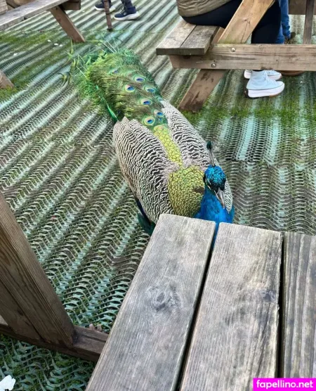 Stacesumsfree OnlyFans Thumbnail #i8R0pM9KtB