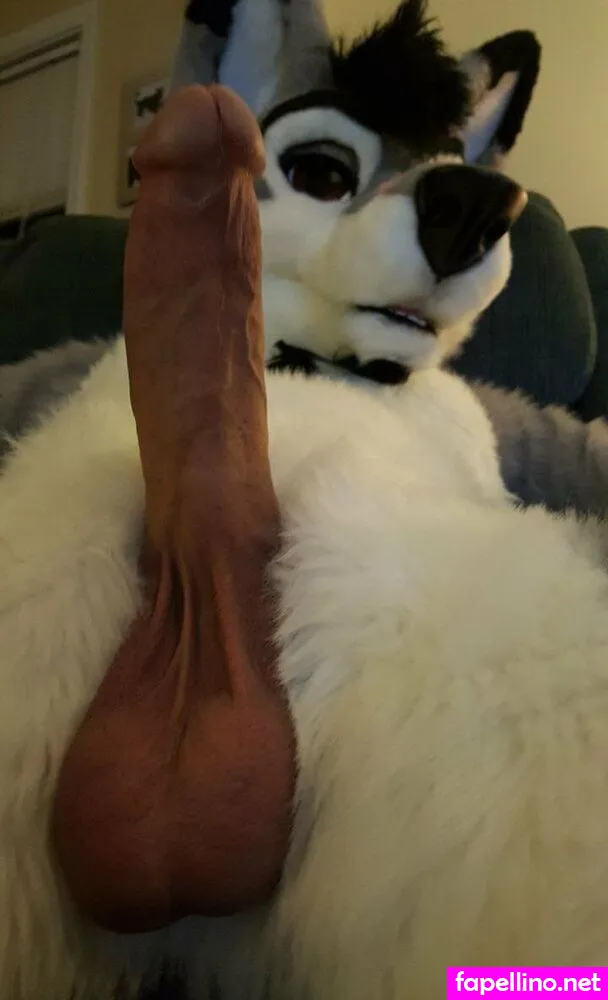 silverglade.eventing.team, stallionwolf Nude Leaked OnlyFans Photo #6RtAD76ANs