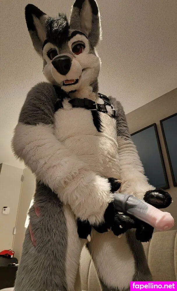 silverglade.eventing.team, stallionwolf Nude Leaked OnlyFans Photo #roHkF7bwF8