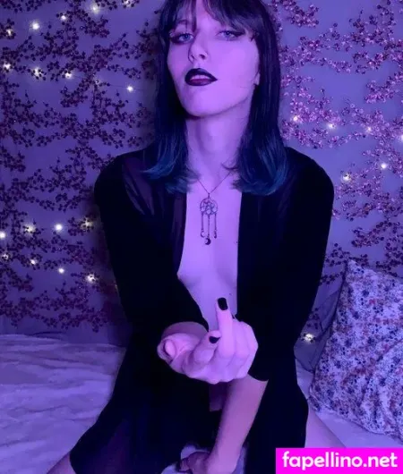 Starlite Anise Main Profile Photo