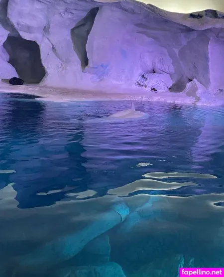 Starrienights Main Profile Photo