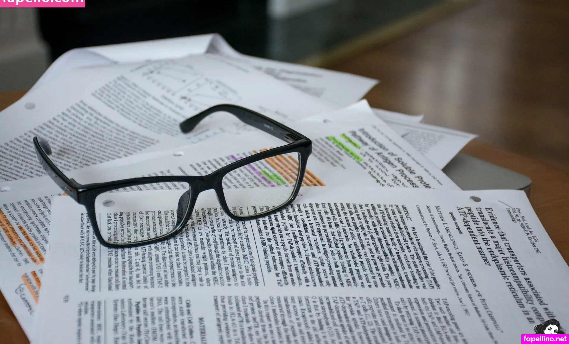 Starry SG Nude Leaked OnlyFans Photo #ku0qIcrhD8