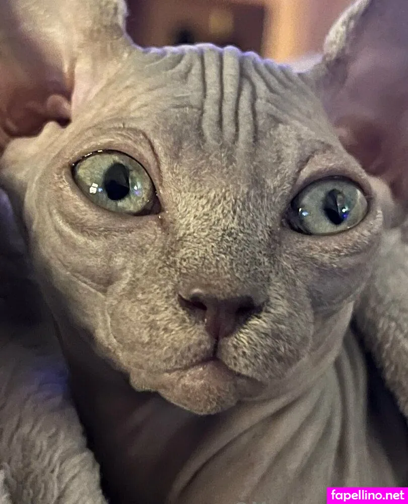 steeletigerlily Nude Leaked OnlyFans Photo #R4PlekeS68