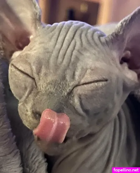 Steeletigerlily OnlyFans Thumbnail #aDqJesPhYq