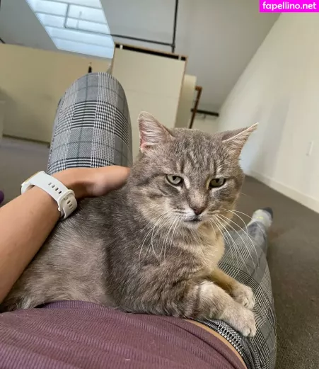 Stella Chung 1 OnlyFans Thumbnail #5CSykvuKik