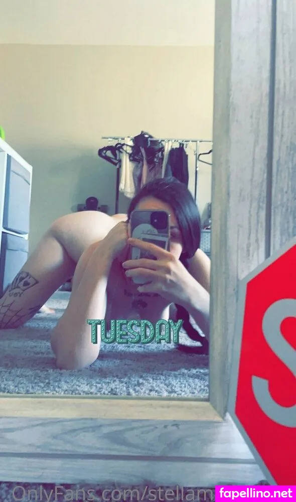 stellamarie3333, stellamarie_p Nude Leaked OnlyFans Photo #adwfa9E3yZ