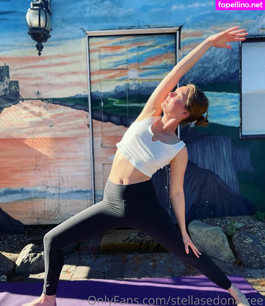 missstellathefrenchie, stellasedonafree Nude Leaked OnlyFans Photo #E4ObbcW9z2