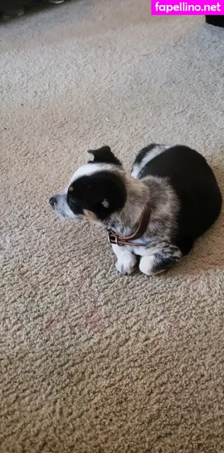 Stellightbaby OnlyFans Thumbnail #5pap3j3Jvm