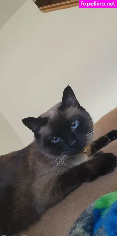 Stellightbaby OnlyFans Thumbnail #FhfUfP7v3a