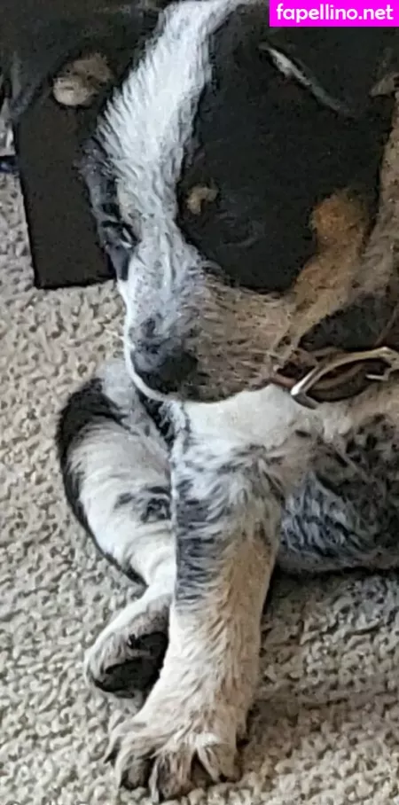 Stellightbaby OnlyFans Thumbnail #wDyW3FABZw