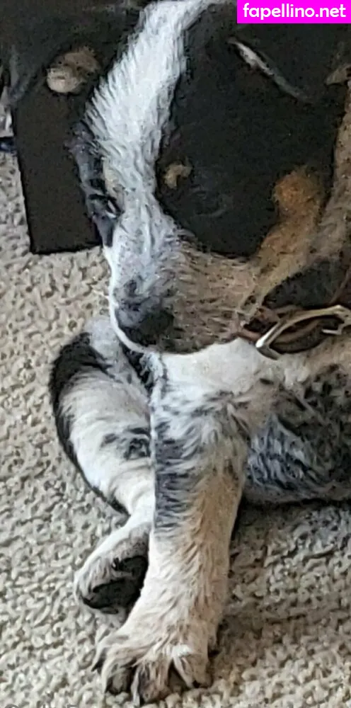 shopstellababy, stellightbaby Nude Leaked OnlyFans Photo #wDyW3FABZw