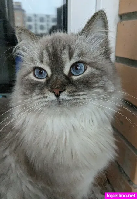 Sticky Touch Main Profile Photo