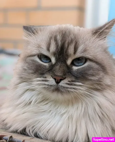 Sticky Touch OnlyFans Thumbnail #qWCSOqS8sE