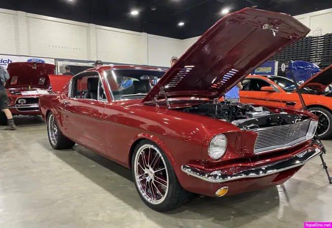 Stikchik OnlyFans Thumbnail #EcZeiw9bPZ