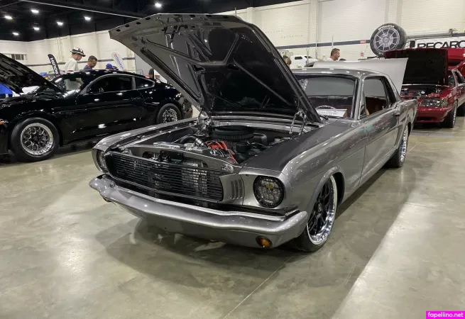 Stikchik OnlyFans Thumbnail #ZWU4u5VtuK