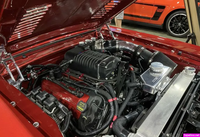 Stikchik OnlyFans Thumbnail #jETH8thglF