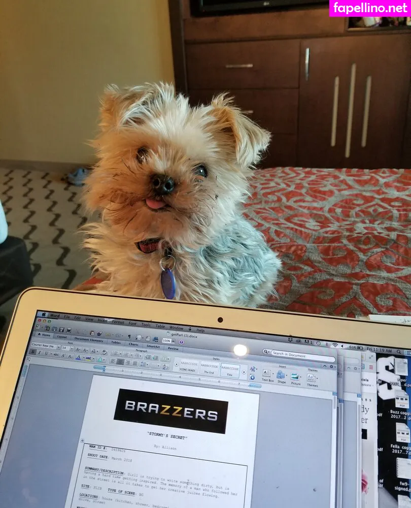 stormydaniels, thestormydaniels Nude Leaked OnlyFans Photo #X9x2HTgUTF