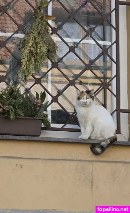 Studentmi OnlyFans Thumbnail #AHy6XASXkB