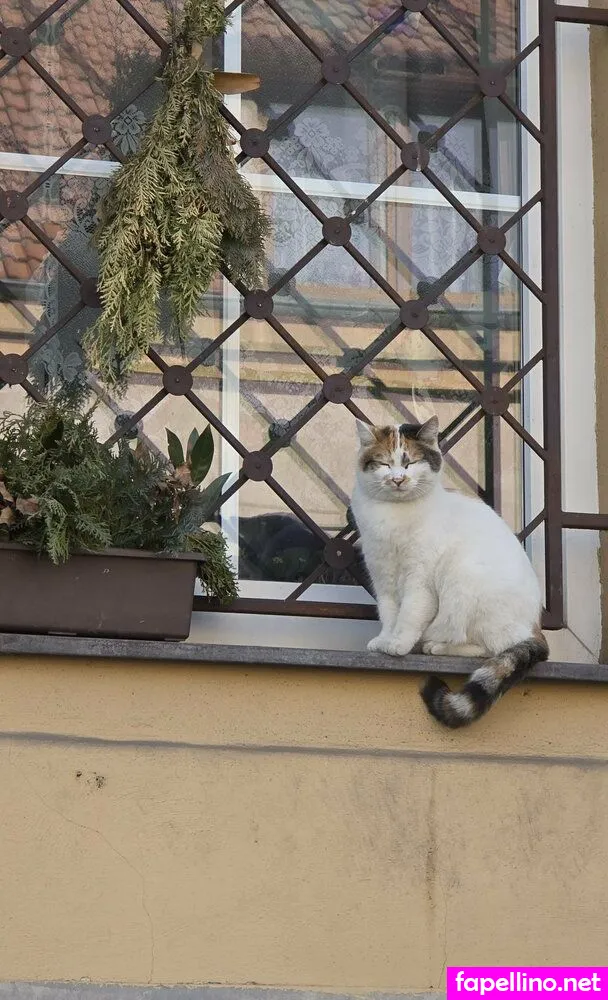 studentmi Nude Leaked OnlyFans Photo #AHy6XASXkB