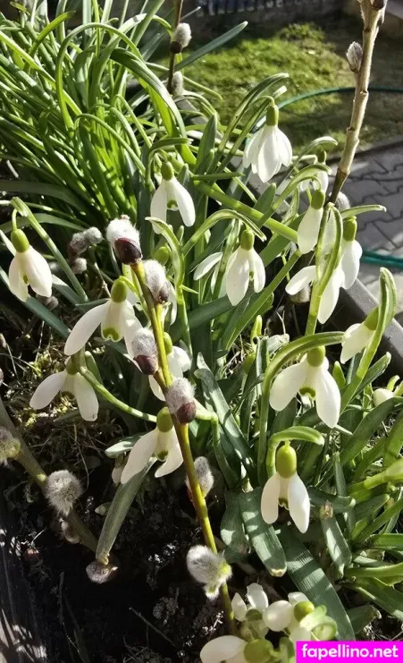 Studentmi OnlyFans Thumbnail #VF3cNCggTy