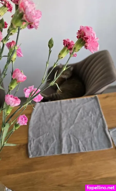 Studentmi OnlyFans Thumbnail #cKF0JBuqud