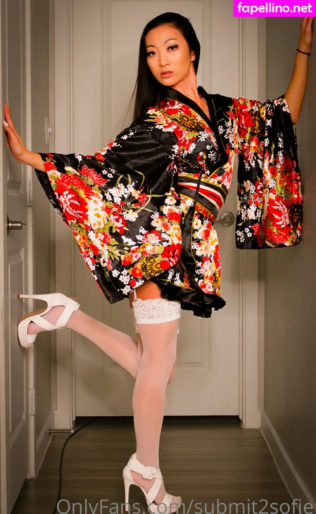 slayerofliarsandscammers2.0, submit2sofie Nude Leaked OnlyFans Photo #ziazIlcGdL