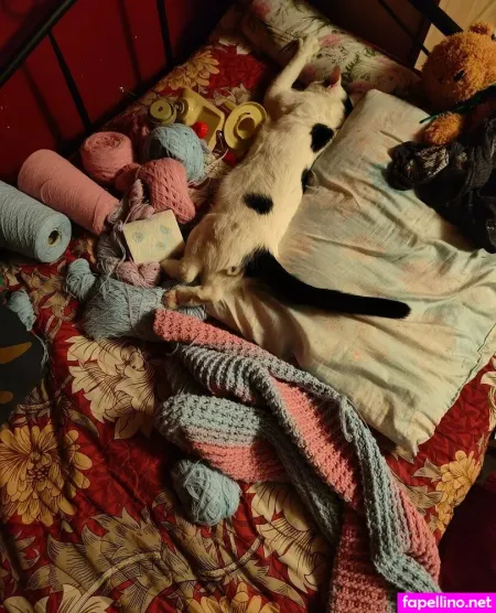 Sugar Glider69 OnlyFans Thumbnail #HdSYxKBRvZ