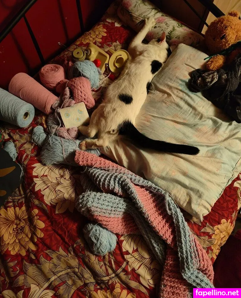 sugar_glider69 Nude Leaked OnlyFans Photo #HdSYxKBRvZ