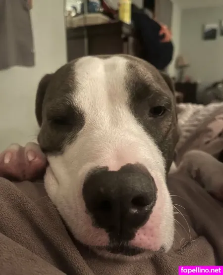 Sugarbuttfree1 OnlyFans Thumbnail #yIWVpsIJcZ